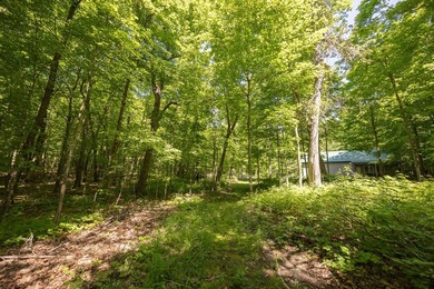 Set among towering pines and hardwoods on nearly 2.25 acres - photo 27