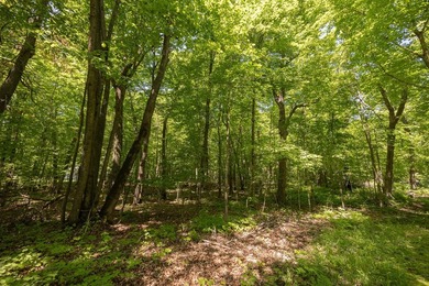 Set among towering pines and hardwoods on nearly 2.25 acres - photo 29