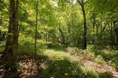 Set among towering pines and hardwoods on nearly 2.25 acres - photo 30