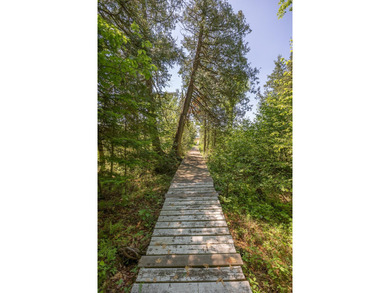 Set among towering pines and hardwoods on nearly 2.25 acres - photo 31
