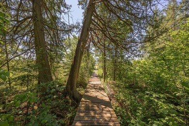 Set among towering pines and hardwoods on nearly 2.25 acres - photo 32