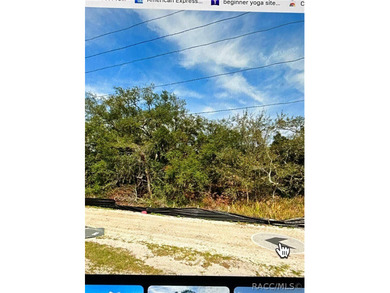 Prime Commercial Opportunity on County Line Road - 4.43 Acres - photo 3