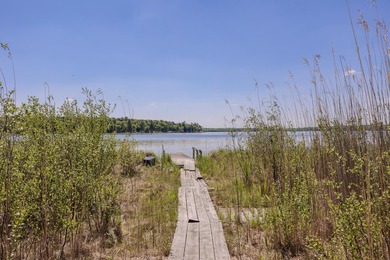 Set among towering pines and hardwoods on nearly 2.25 acres - photo 35