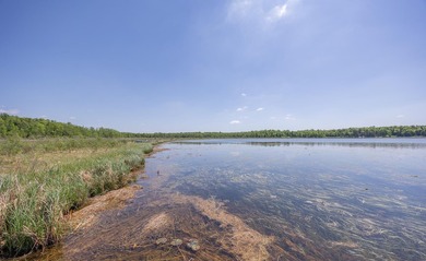 Set among towering pines and hardwoods on nearly 2.25 acres - photo 36