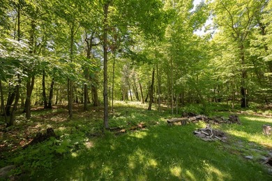Set among towering pines and hardwoods on nearly 2.25 acres - photo 40
