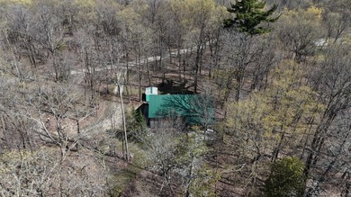Set among towering pines and hardwoods on nearly 2.25 acres - photo 46