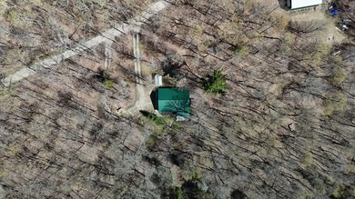 Set among towering pines and hardwoods on nearly 2.25 acres - photo 50