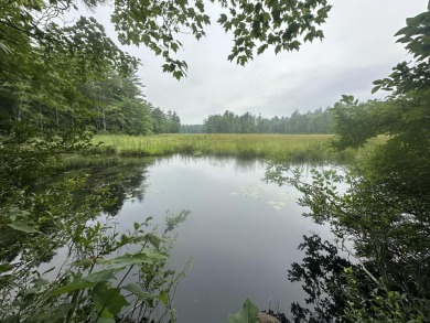 Lake Acreage For Sale in Acton, Maine