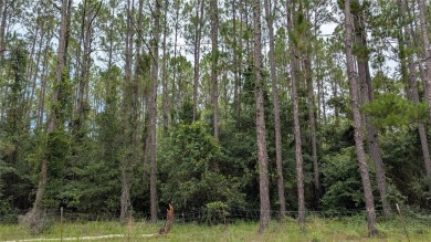 Newnans Lake Acreage Sale Pending in Gainesville Florida