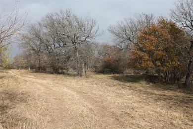 Beautiful interior lot with 3.15 acres within North Star Pointe - Lake Acreage For Sale in Chico, Texas