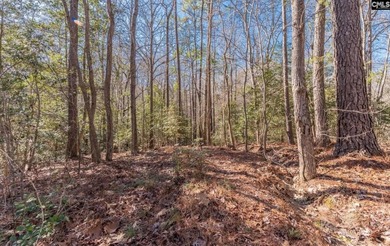 Lake Acreage For Sale in Lexington, South Carolina