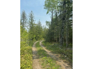Lake Huron - Mackinac County Acreage For Sale in Hessel Michigan