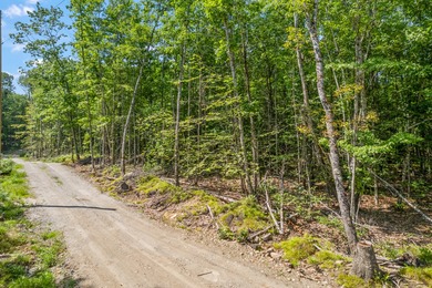 Expansive 7.09 acres. Septic design done. Two power poles have - photo 3
