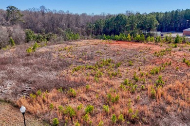 Great business Opportunity! Commercial lot. 4.76 acres with 354 - photo 4