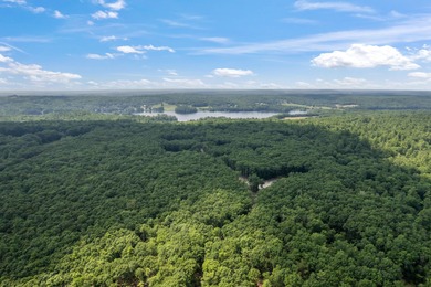 Expansive 7.09 acres. Septic design done. Two power poles have - photo 5