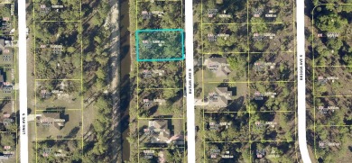 Lehigh Acres Area Lot For Sale in Lehigh Acres Florida
