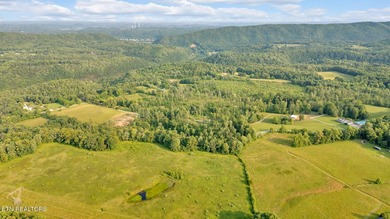 SOUTHERN LIVING, MEETS EQUESTRIAN LIVING ON 107 PRIVATE ACRES - photo 43