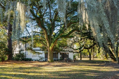 Step into a piece of Charleston's storied past with this rare - photo 5