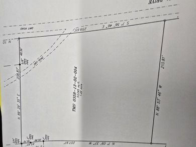 Lake Marion Lot For Sale in Eutawville South Carolina