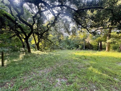 Lake Acreage For Sale in Lake Butler, Florida