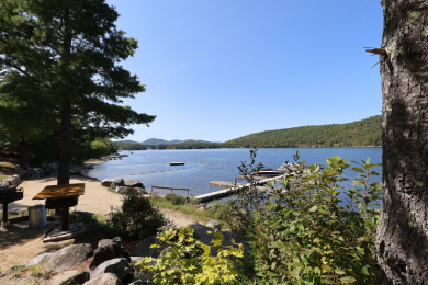 Log Cabin in Blue Sky Estates - photo 14