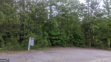 Lake Lot For Sale in Macon, Georgia