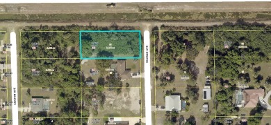 Lehigh Acres Area Lot For Sale in Lehigh Acres Florida