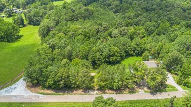 Lake Lot For Sale in Springville, Tennessee