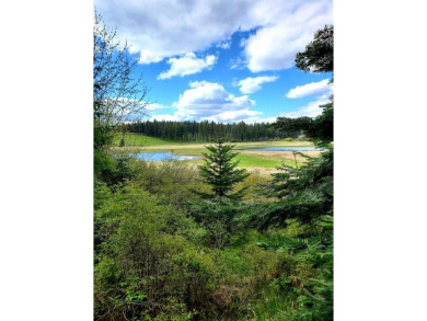 Lake Lot For Sale in Bigfork, Montana