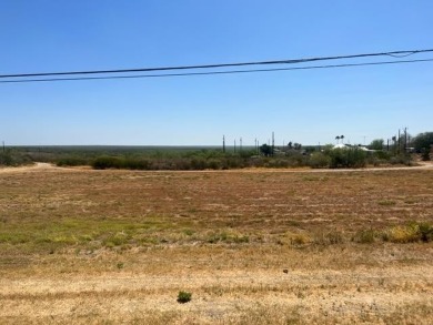 Lake Commercial For Sale in Zapata, Texas