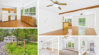 Lake Home For Sale in Pocono Lake, Pennsylvania