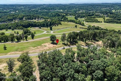 Luxury Home in Windswept on Cherokee Lake. 2262 Ridgeline Ct - photo 38