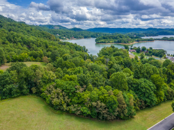 Cherokee Lake View Lot in Legacy Bay SOLD - Lake Lot SOLD! in Mooresburg, Tennessee