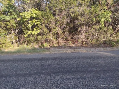 Motivated seller!!! GORGEOUS lot for sale in popular Comanche - photo 2