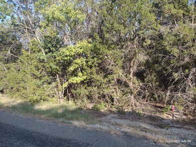 Motivated seller!!! GORGEOUS lot for sale in popular Comanche - photo 3