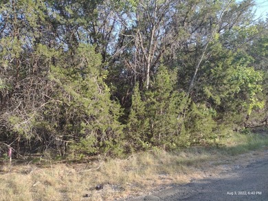 Motivated seller!!! GORGEOUS lot for sale in popular Comanche - photo 4