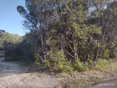 Motivated seller!!! GORGEOUS lot for sale in popular Comanche - photo 6