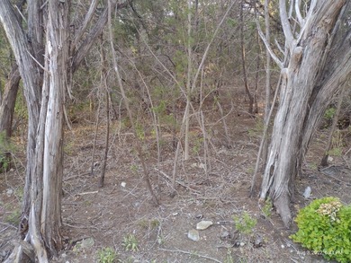 Motivated seller!!! GORGEOUS lot for sale in popular Comanche - photo 8