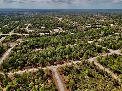 Discover a rare and affordable land opportunity in North Port's - photo 12