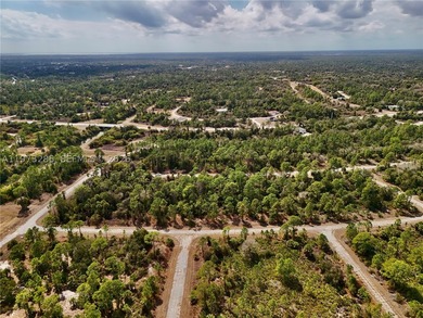Discover a rare and affordable land opportunity in North Port's - photo 22