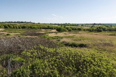 This extraordinary 200+/- acre estate represents a rare fusion - photo 48