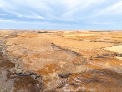 (private lake, pond, creek) Acreage For Sale in Shattuck Oklahoma