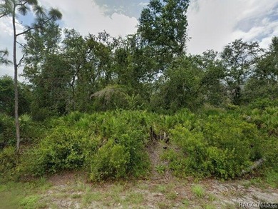 Peace River Lot For Sale in Punta Gorda Florida