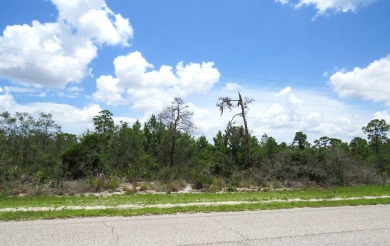 Lake June in Winter Lot For Sale in Lake Placid Florida