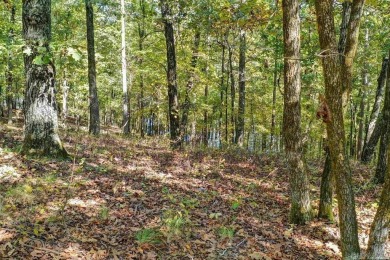 Lake Pinedo Lot For Sale in Hot Springs Village Arkansas