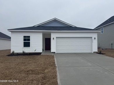 (private lake, pond, coastal) Home For Sale in Supply North Carolina