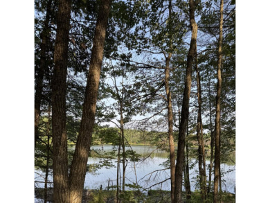 Lake Acreage For Sale in Leeds, Maine