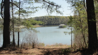 PREMIUM Lot - A simply Gorgeous, Flat, POINT LOT!! - Lake Lot For Sale in Lynch Station, Virginia