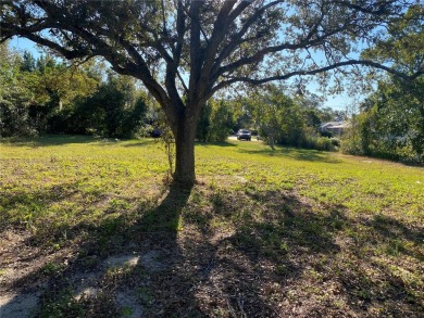 Lake Lot For Sale in Lake Wales, Florida