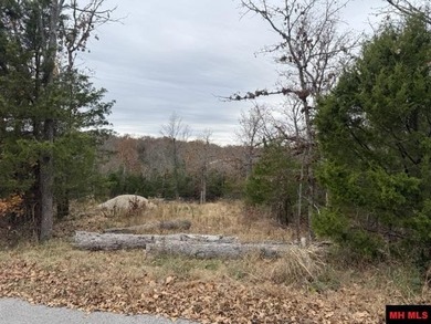 Norfork Lake Lot For Sale in Mountain Home Arkansas